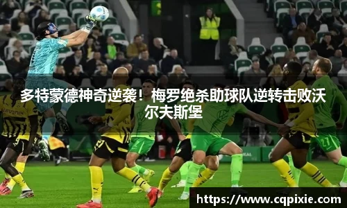 RAYBET雷竞技下载