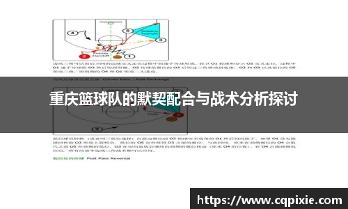 RAYBET雷竞技下载