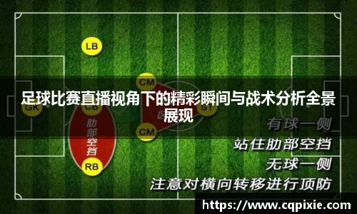 RAYBET雷竞技APP