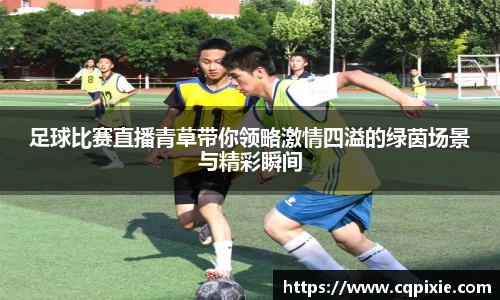 RAYBET雷竞技下载