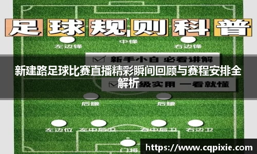 RAYBET雷竞技网址