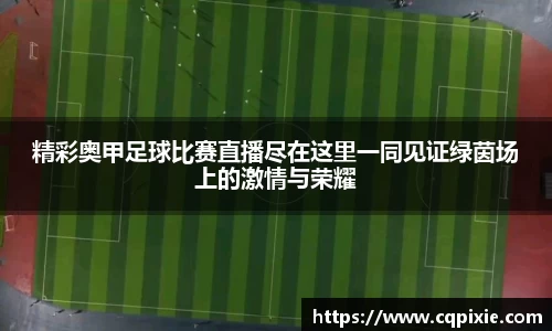 RAYBET雷竞技网址