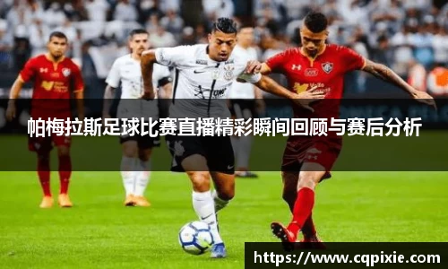 RAYBET雷竞技网址