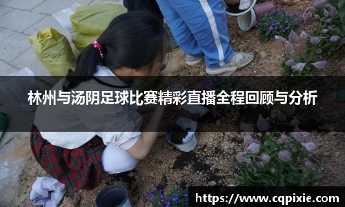 RAYBET雷竞技官网