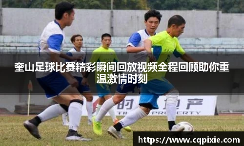 RAYBET雷竞技下载