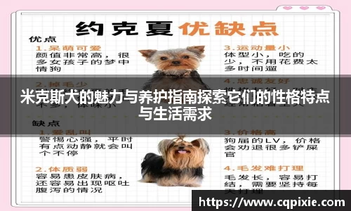RAYBET雷竞技网址