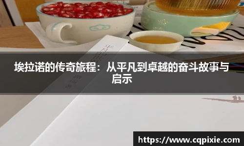 RAYBET雷竞技网址